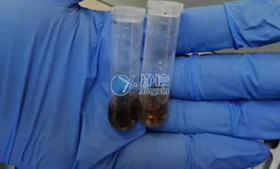 上海凈信高通量研磨儀能否助力蟲媒病毒研究實驗？