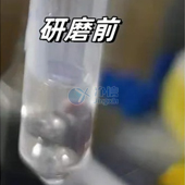 必看！全自動浸入式液氮冷凍研磨儀高效研磨小鼠肝臟提取DNA實(shí)操指南